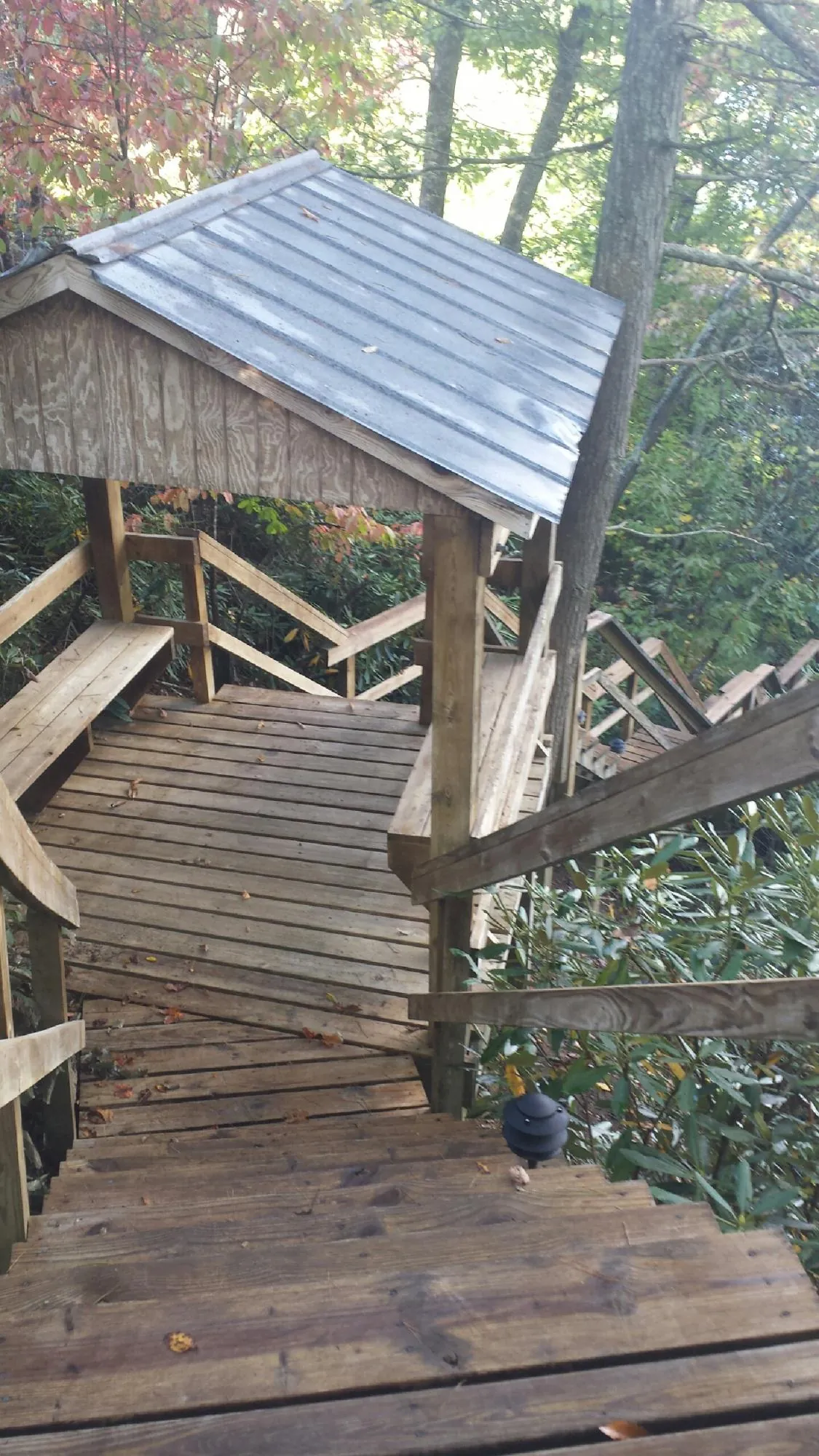 Metal roofed shelter over wooden steps on a wooded walkway in Kent City